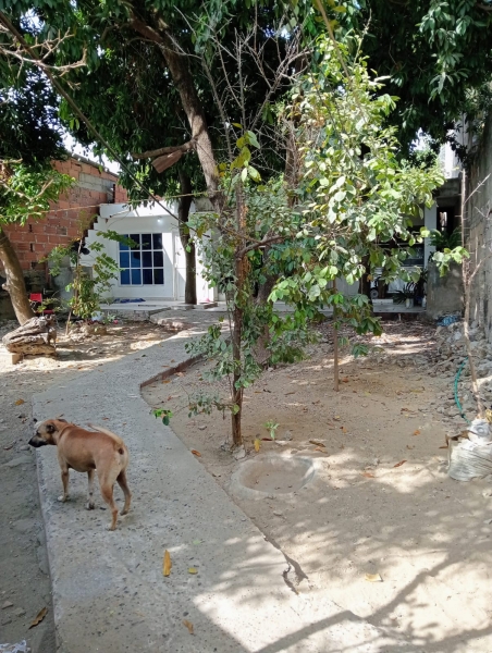 WhatsApp Image 2026-04-25 at 10.19.56 PM (5).jpeg